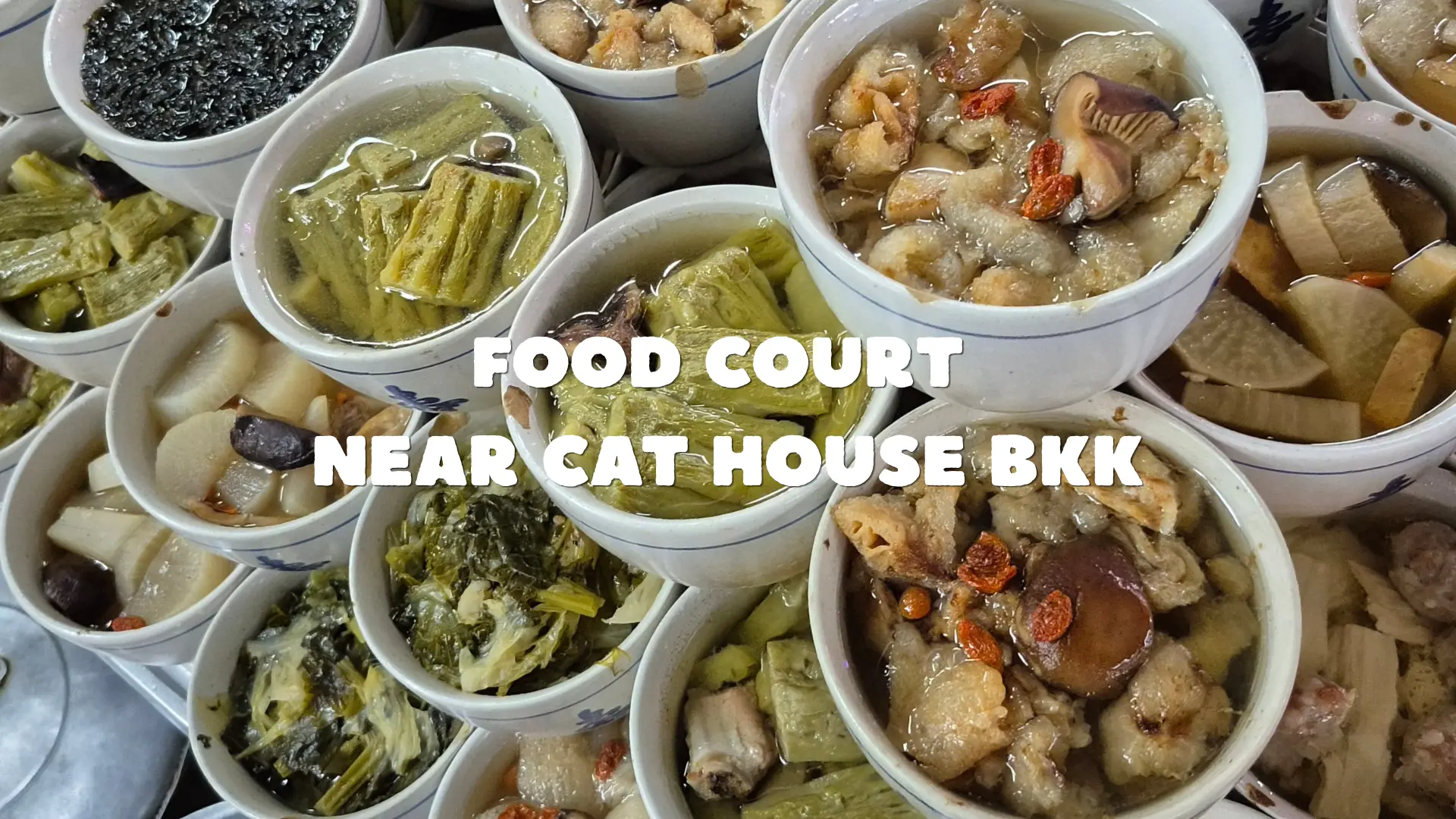 Food court near cat house bkk